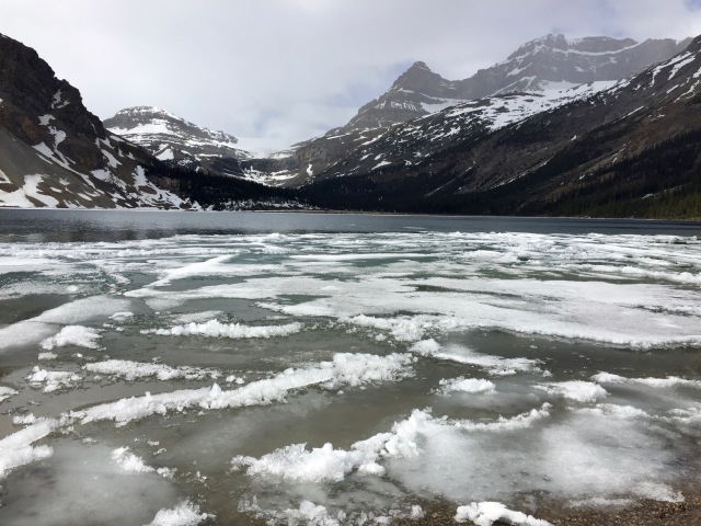Bow Glacier above Bow Lake